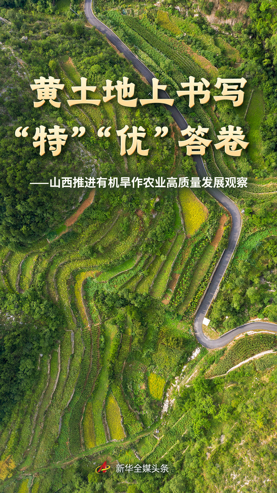 赛事前瞻：谁将问鼎冠军？ - 黑白体育